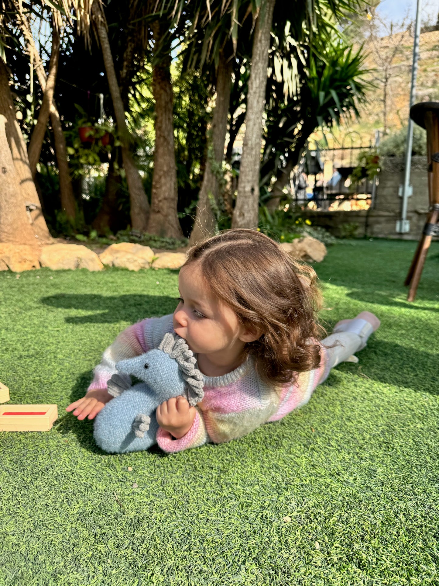 בובת סוסון BabYam